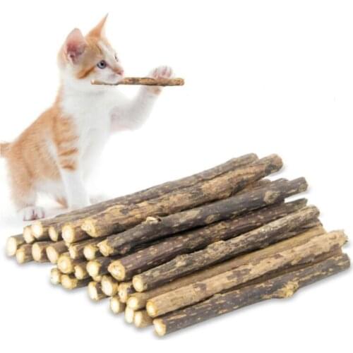 Sale hot 5pcs Wearable Pure Natural Wood Polygonum Sticks Pet Cat Molar Stick Cat Cleaning Teeth Snacks Scratching Biting Sticks