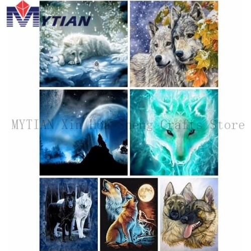 MYTIAN Painting Paints