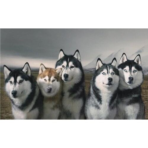 5D DIY diamond painting Full square/round Embroidery Wolves Pattern 3D Cross stitch kits mosaic wall stickers