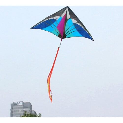 Outdoor Sports Toys Kites Large Delta Tails With Handle For Children Kites Nylon Ripstop Albatros Kite Educational Gifts