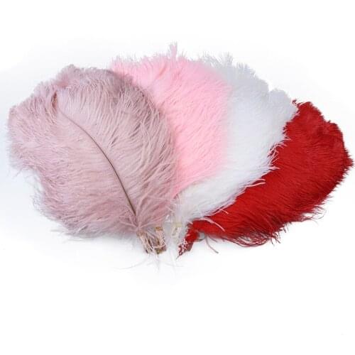 SlickFeatherDeal Decorative Feathers
