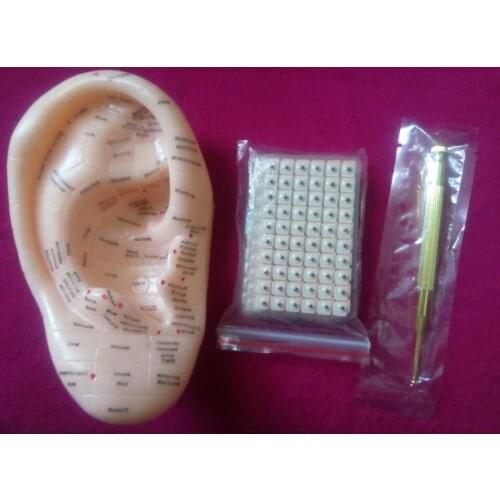 Free shipping 600 ear seeds Vaccaria Seeds paste slimming body cure myopia with English ear model ear probe pen