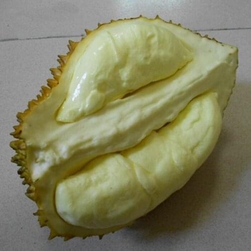 Toy foam fruitage fake Food Durian Fruit Toys Model Simulation Vegetables Early Educational Kid Pretend Play House Kitchen Toy