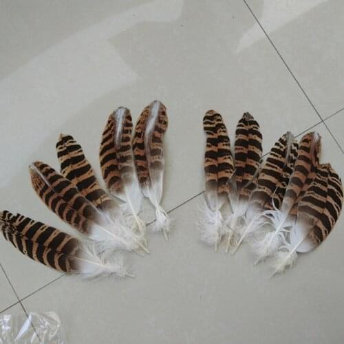Wholesale! Natural color eagle feathers 7-9 inch / 18-23 cm used for collection, decoration
