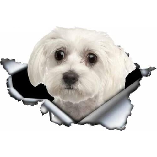 A0110# 13 cm/17 cm 3D Self-Adhesive Decal Cute Maltese Dog Car Sticker Waterproof Auto Decors on Bumper Rear Window Laptop