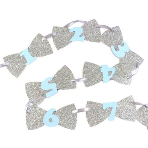 1-12 months Bow Tie silver and aqua baby shower First Birthday party garlands banners buntings kids photo props decorations