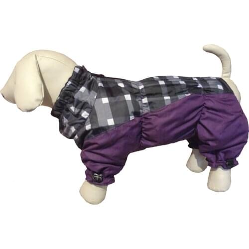 AVIKA Clothes And Footwear For Dogs