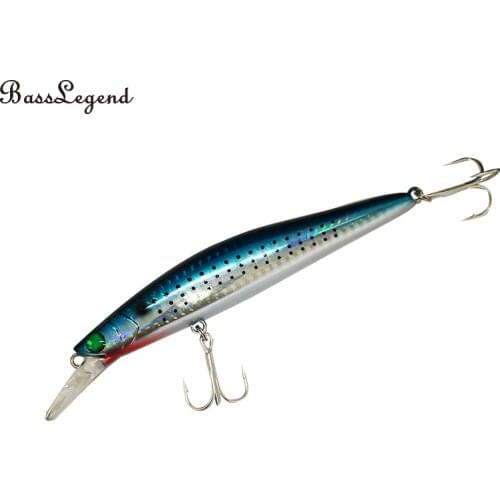 BassLegend Fishing Saltwater Lure Long Cast Floating Minnow Sea Bass Pike Bait Wobbler 125mm 21g