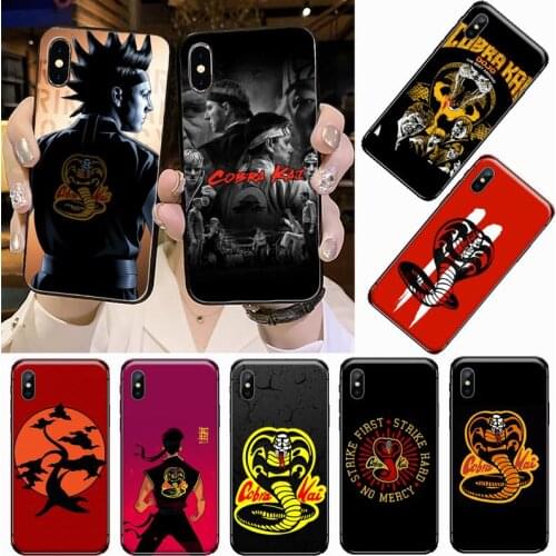 Fashion cobra kai snake Phone Case for iPhone 11 12 pro XS MAX 8 7 6 6S Plus X 2020 XR Mini