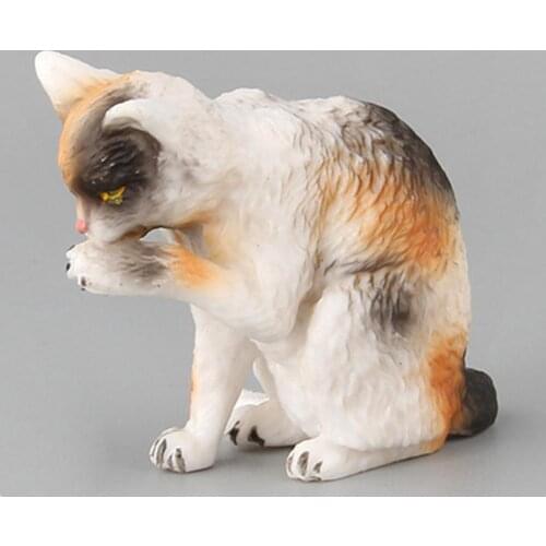 PVC 10Pcs Universal Assorted Miniature Cat Figures Educational Toy Miniature Farm Cat Toy Rust-proof for Children