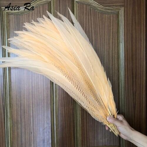 Free Shipping 20pcs Silver pheasant Feathers 60-65 24-26inch Champagne pheasant silver Feathers DIY Feathers Cloth accessory