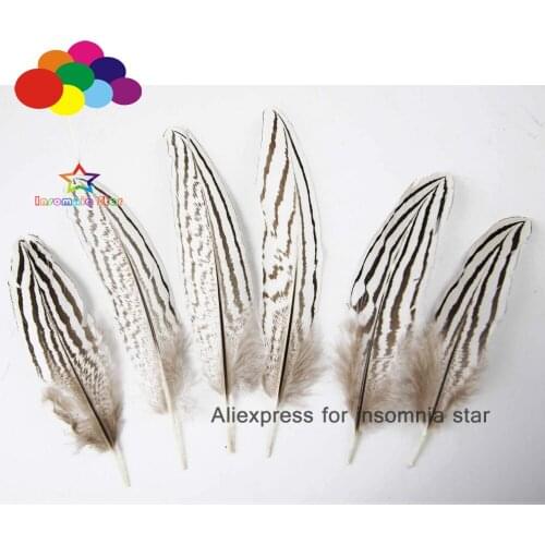 Top 100Pcs 5-25CM Natural silver Pheasant white Tail Feather Black Pattern DIY feathers for crafts Wedding Decorations Costume