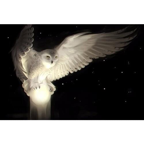 5D Diamond Painting Embroidery Handicrafts DIY Diamond Embroidery Snow White Owl Animal Mosaic Gift Diamond Wall Arts Decor