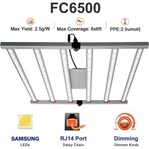 CrxSunny Professional Lighting