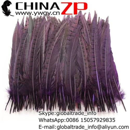 CHINAZP Factory 100pcs/lot Size 25-30cm(10-12inch) Top Quality Dyed Purple Ringneck Pheasant Tail Feathers for Party Decorations