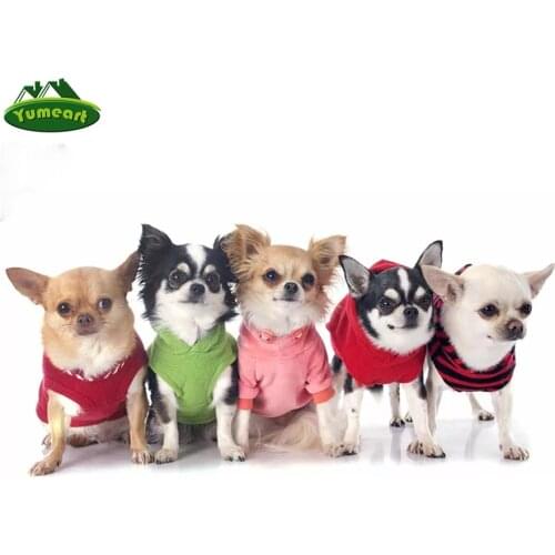 Diy Diamond Painting Cute Chihuahua Cross Stitch Kits Diamond Embroidery Pet Dog Picture By Numbers Full Square Mosaic Painting