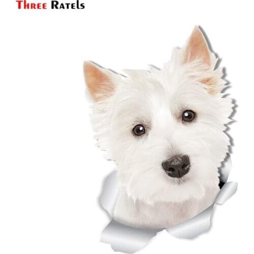 Three Ratels 3D Cute Westie Dog Wall West Highland White Terrier 3D Sticker Decals on Cars Toilet bike 1098
