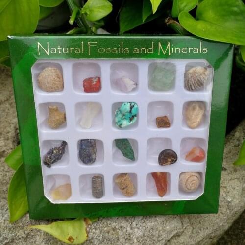 20 kinds of natural crystal ore, marine biological fossil specimen, mineral teaching, science popularization, student gift