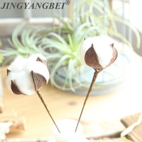 Single Naturally Cotton Dried Flower Artificial Flowers Floral Branch For Wedding Party Decoration Fake Flowers Home Decor
