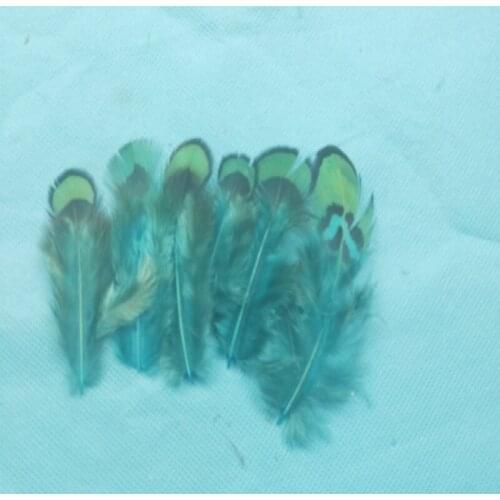 50pcs a pack Beautiful Pheasant Feather costumes dance party wedding hat Decorative materials 4-9 cm