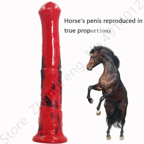 FAAK animal horse penis realistic dildo silicone long sucker cock anal butt plug sex toys for men women masturbation dick Gay