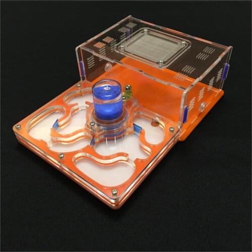 Ant-grape L plane moisture with feeding area ant nest,ant farm acrylic,insect ant nests villa pet advanced mania for house ants