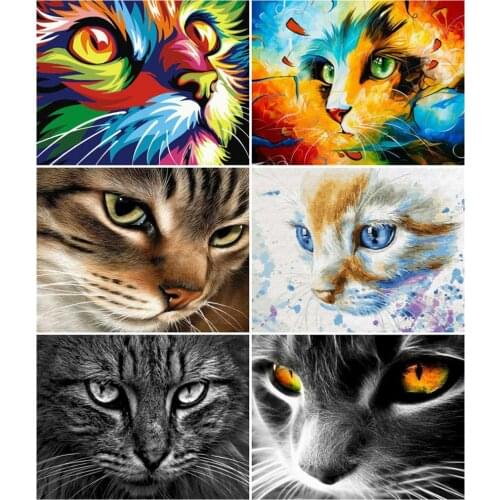 AZQSD Diy Frame Paint By Number Cat Drawing On Canvas Painting By Numbers Aniaml Kits Handpainted Modern Wall Art Gifts