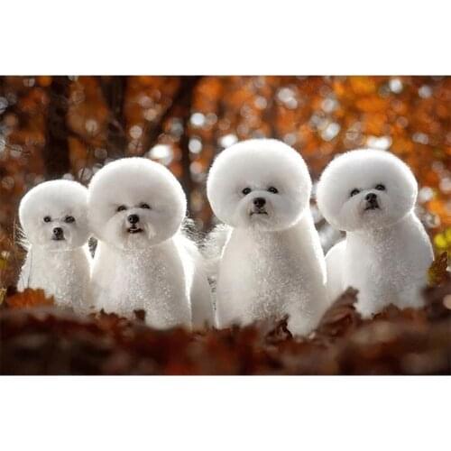 DIY Diamond Embroidery Lovely White Dogs Full Square Drill Animal Painting Cross Stitch Kit Mosaic Handmade Picture Home Decor