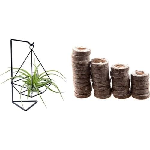1 Pcs Air Plant Holder, Air Plant Terrarium, Air Plant Stand & 200 Pcs Peat Pellets Plant Starting Soil Block