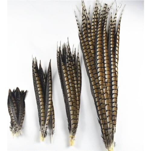 10Pcs/Lot Natural Lady Amherst Pheasant Feathers for Crafts 10-120CM 4-48" Long Carnival Accessories Feather Decoration Plume
