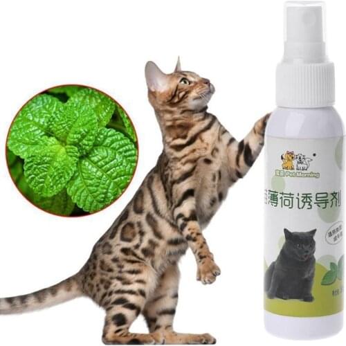 50ml Catnip Spray Cat Excitement Toy Organic Natural Scratch Healthy Inducer Funny Scratch Toys Kitten Scratcher Mint Good Spot
