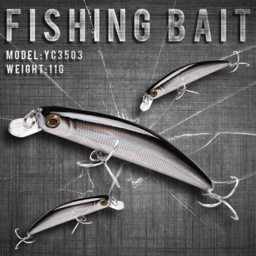 Fishing Lure 100mm/11g 0-0.5m Floating Minnow Hard Bait Carp Fishing Fresh Water Sea Fake Lure High Quality Lures