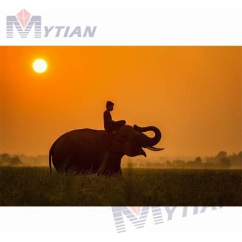 5D DIY Full Drill Square Round Diamond Painting Cross Stitch Sunset Man Elephant Rhinestone Diamond Embroidery Mosaic Home Decor