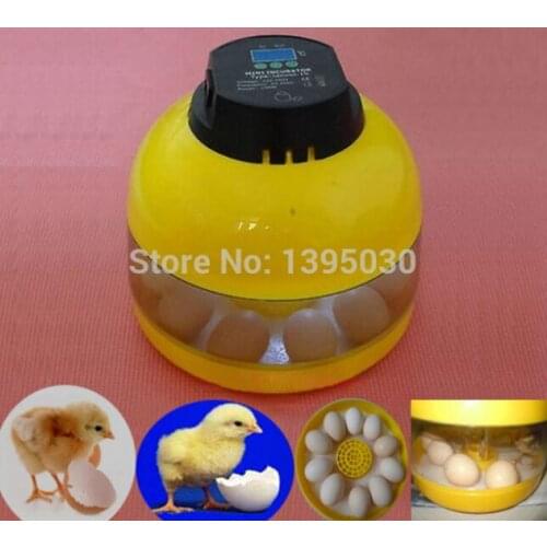 10 Eggs Capacity Chicken Eggs Bird Incubator Egg Rack Tray Automatic Intelligent Control Quail Parrot Incubation Tool