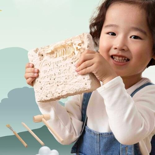 Dinosaur Fossil Digging Kit Educational Dinosaur Fossil Excavation Toys DIY Assembly Model Toys for Children Kids
