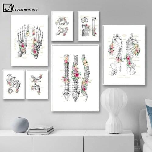 Human Anatomy Skeleton Canvas Painting Bone Structure Education Art Poster Print Wall Picture Modern Home Hospital Decoration