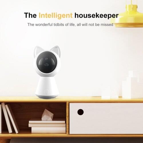 Audube Mini CCTV Cameras