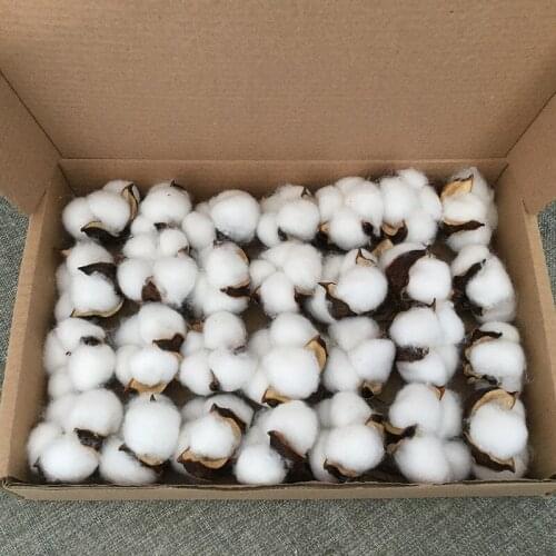 28Pcs/box Natural Cotton Immortal Flower DIY Handmade Household Party Arrangement Gifts Creative White Dried Bouquet Material