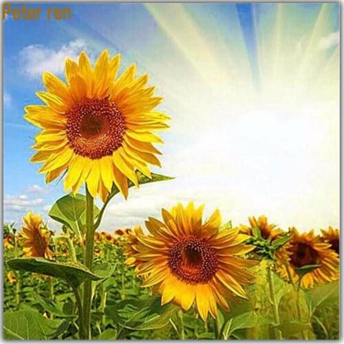 Peter ren Diamond painting flower DIY 5D Square & Round Diamond mosaic embroidery hand-painted decorative painting Sun sunflower