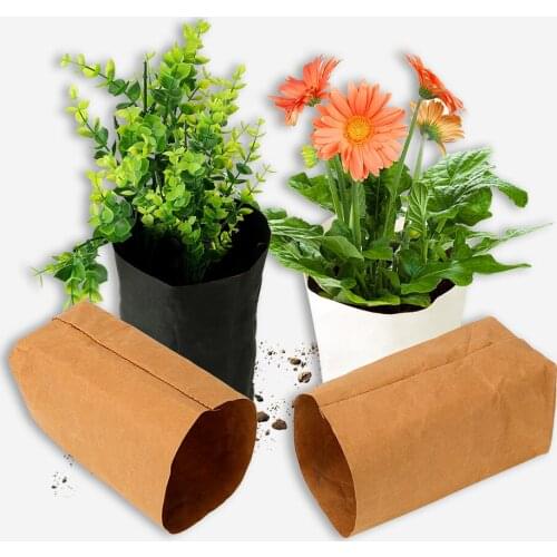 Creative Desktop Plant Bag Washable Multifunction Cosmetic Storage Bag Reusable Kraft Paper Flower Pot Home Office Decoration
