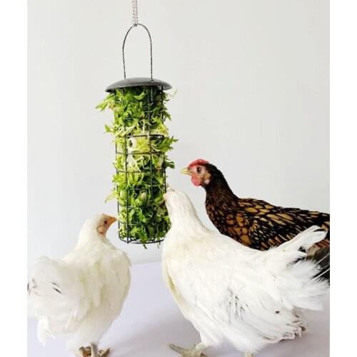 Chicken Feeder Basket Vegetable Fruit Veggie Hanging Coop Hen Feeding Treat Box