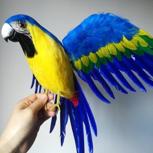 Real life toy large 42x60cm yellow-blue feathers parrot model,foam&feathers spreading wings parrot ,garden decoration toy w0788