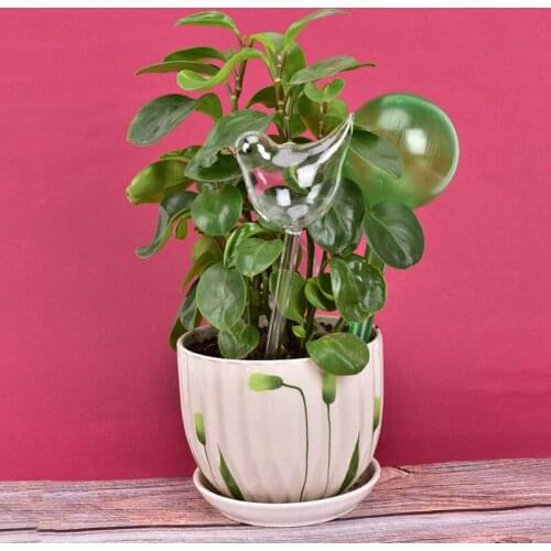 Plant Self Watering Globe Plants Water Bulbs Bird Shape Clear Glass Watering Device 1PCS