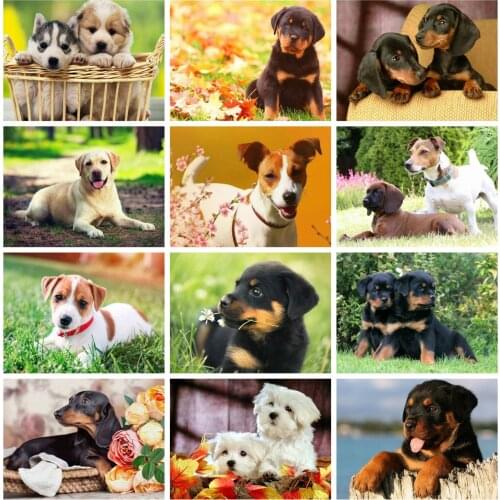 Huacan 5D DIY Diamond Painting Dog Full Square/Round Diamond Embroidery Mosaic Animal Decorations Home