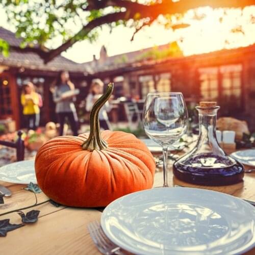 ISHOWTIENDA Ornamental Vegetables