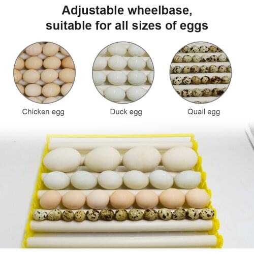 1 Set Automatic turn eggs Chicken Duck Quail Goose Bird Poultry Eggs Roller Tray Farm Incubation Tools Supplies sales