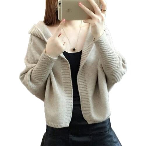 Spring Fashion Short Small Coat Casual Knit Sweater 2019 New Womens Cloak Style Bat Sleeve Cardigan Harajuku Hooded Sweater