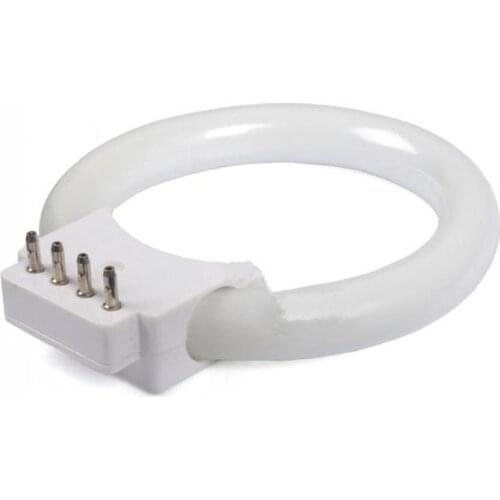 2PCS 110v or 220v 8 Watt Fluorescent Ring Bulb for Stereo Microscope Ring Lights Microscope Lighting Microscope Light