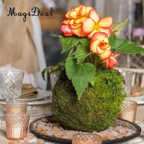 Creative Moss Ball Flower Pot Planter Bonsai Plant Holder Home Garden 6cm