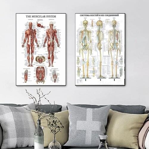 Human Anatomy Wall Art Poster Print Skeleton Muscle Medical Education Canvas Painting HD Print Modern Home Decoration Pictures